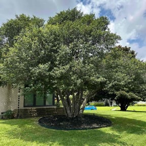 Flower Bed Weeding by Shore Clean Solutions reviewed on November 23, 2025