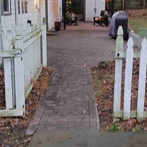 Leaf Removal by Pristine Outdoor Services llc reviewed on November 24, 2025