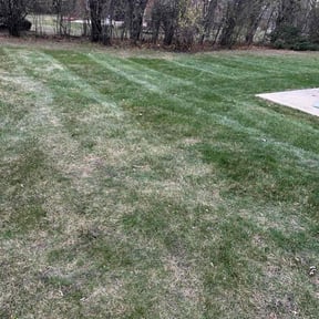 Leaf Removal by Tidewater Lawn Solutions, LLC reviewed on October 1, 2025