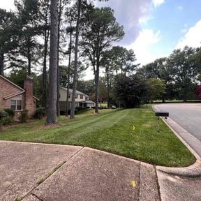 gardening service by CCs lawn service LLC reviewed on August 15, 2025