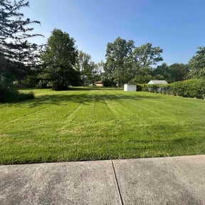 grass cutting by Lawn and Beyond reviewed on July 9, 2021