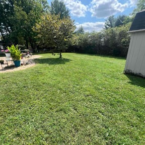 landscaping by SGP Lawn Services reviewed on November 24, 2025