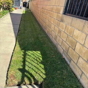 lawn service by ZKZ Landscape & Design reviewed on May 13, 2024