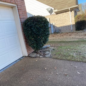Bush Trimming by Inside and Out Property Maintenance reviewed on August 15, 2025