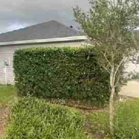 Bush Trimming by BonEZ Elemental Lawn &amp; Landscaping reviewed on December 17, 2025