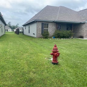 yard care by JPS Lawn Care Services reviewed on July 13, 2025