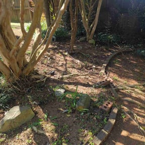 Leaf Removal by Cutting for a Cure reviewed on September 28, 2025