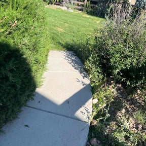 Bush Trimming by F&M LAWNCARE reviewed on August 17, 2025