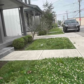 Bush Trimming by CL Lawn &amp; Landscape LLC reviewed on May 28, 2026