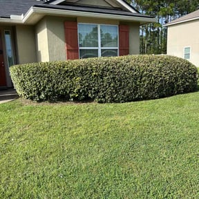 Bush Trimming by 402 LMS reviewed on August 17, 2025