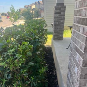 Bush Trimming by Dk reviewed on October 23, 2025