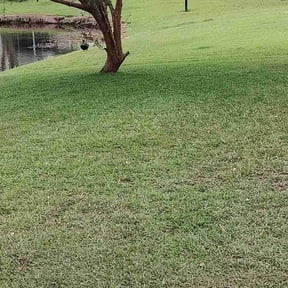 yard work by Lawn Care Pro Plus reviewed on November 18, 2025