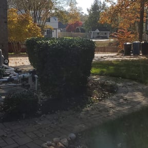 Bush Trimming by Wgm landscaping reviewed on August 16, 2025