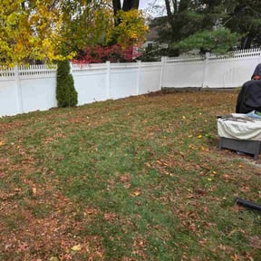 Leaf Removal by Big Al’s Lawn Care reviewed on October 22, 2025