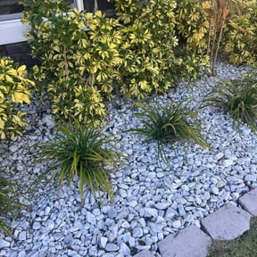 Flower Bed Weeding by  reviewed on June 22, 2025