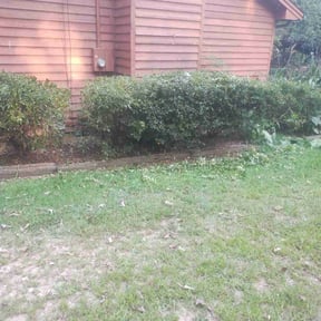 Bush Trimming by JR Lawn Maintenance reviewed on October 18, 2025