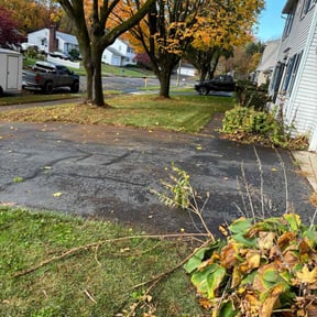 Leaf Removal by ATZLAN OPERATIONS LLC reviewed on November 9, 2025