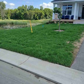 yard care by Jay's Resource reviewed on August 15, 2025