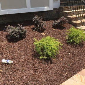 Bush Trimming by T.R. Integrated Services reviewed on August 21, 2025