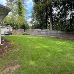 turf care by Second Glance Landscaping LLC reviewed on December 30, 2023