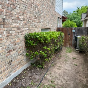 Bush Trimming by A &amp; S Contractor LLC reviewed on November 9, 2017