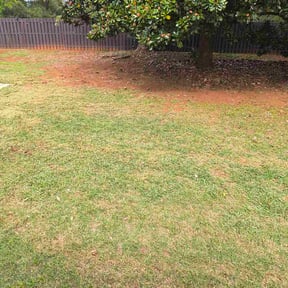 Leaf Removal by Brown&#039;s grounds reviewed on October 24, 2025