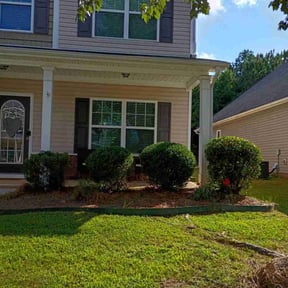 Bush Trimming by D&amp;D All In One reviewed on September 30, 2023