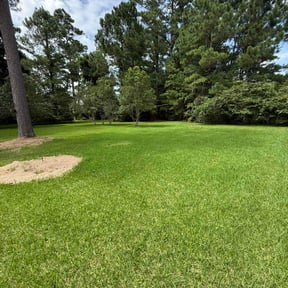 yard maintenance by BSM & Co. Landscaping reviewed on August 17, 2025