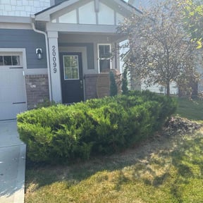 Bush Trimming by Jay&#039;s Resource reviewed on November 18, 2025