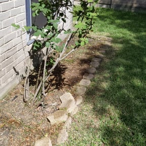 Flower Bed Weeding by OTG Services reviewed on August 13, 2025