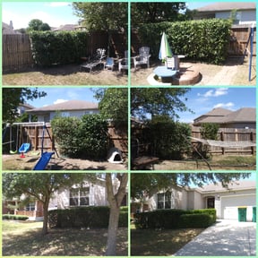 Bush Trimming by 66landscaping LLC reviewed on August 21, 2025