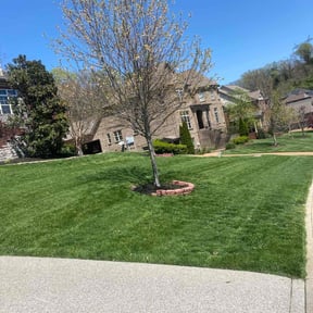 turf care by E&F Lawn and landscape development reviewed on December 14, 2023