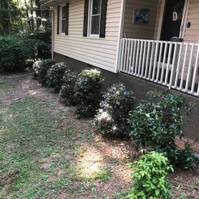 Bush Trimming by J.P Lawn Maintenance reviewed on October 16, 2023