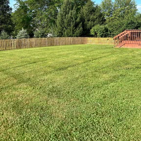 landscape maintenance by Uno Drywall and Painting Services ,LLC dba Franklin McCarter reviewed on December 17, 2025