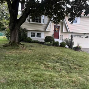 Leaf Removal by Scube and Sons reviewed on November 7, 2025