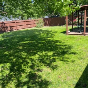 yard care by RICKYSKINNER LLC reviewed on August 16, 2025