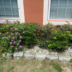 Bush Trimming by Yard Dr. LLC reviewed on August 19, 2025