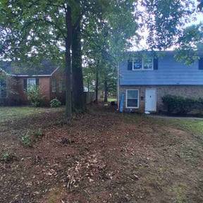 Leaf Removal by Ozzie Mow Co reviewed on August 29, 2026