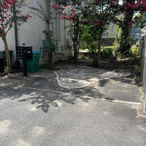 Bush Trimming by PNC Delivery Express reviewed on August 18, 2025