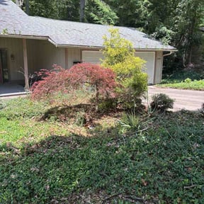 Bush Trimming by Mcghees lawn service reviewed on July 6, 2026