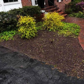 Flower Bed Weeding by Exquisite Enterprises reviewed on May 6, 2026