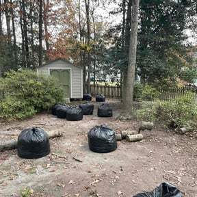 Leaf Removal by Tegridy Mushrooms LLC reviewed on August 7, 2021