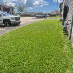landscaping by lawn services reviewed on August 14, 2025