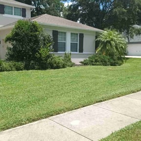 Flower Bed Weeding by Alexander's Property Maintenance reviewed on August 21, 2025