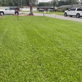 turf care by Cleancut Landscaping reviewed on August 19, 2025