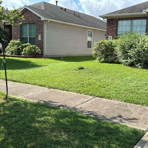 turf maintenance by Tegridy Lawn and Home Care reviewed on July 27, 2021