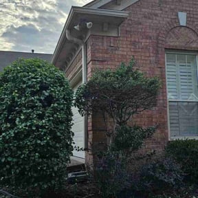 Bush Trimming by R&A landscaping reviewed on August 21, 2025