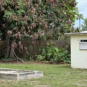 Bush Trimming by Confluence Labor Services reviewed on June 11, 2026