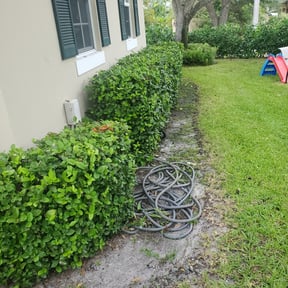 Bush Trimming by Jr Lawncare reviewed on August 16, 2025