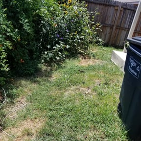 Bush Trimming by Torres Lawn Care reviewed on August 14, 2025